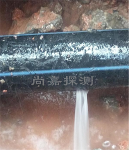 顺河回族消防管道漏点探测